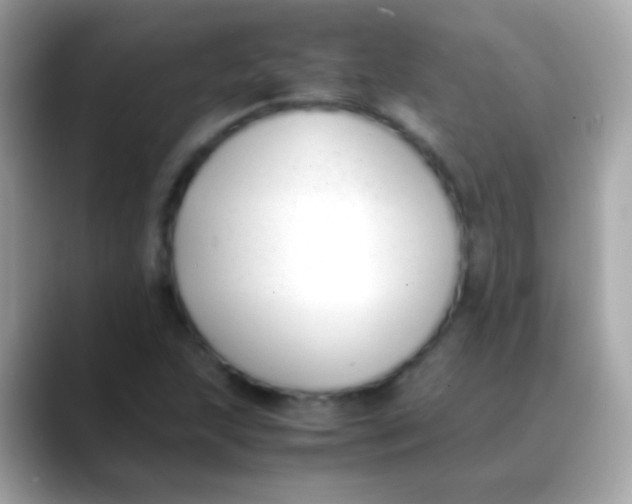X0000088051215200706011336