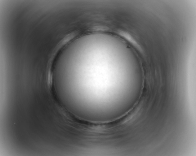 X0000088051221200706011336