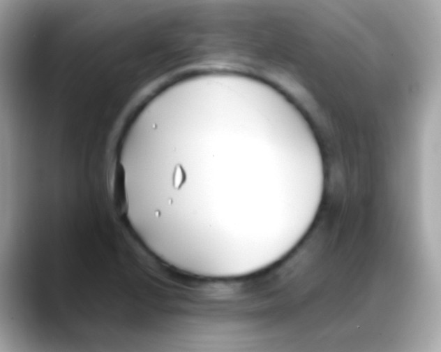 X0000088051224200706011336