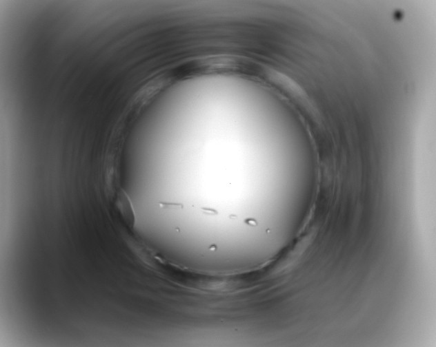 X0000088051225200706011336