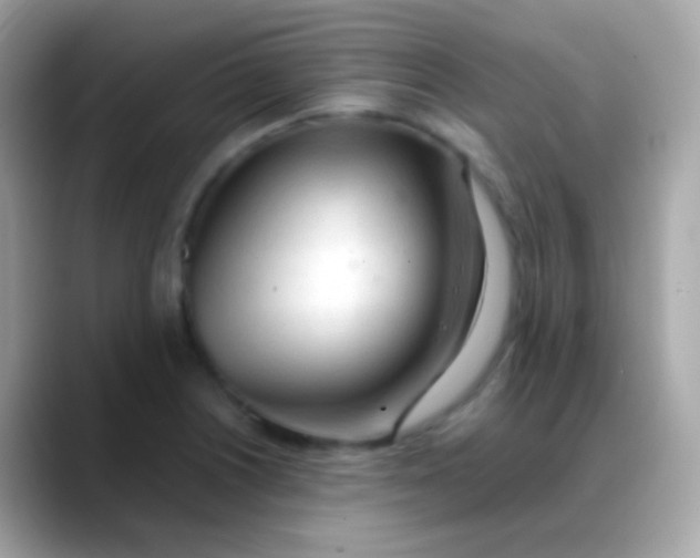 X0000088051226200706011336