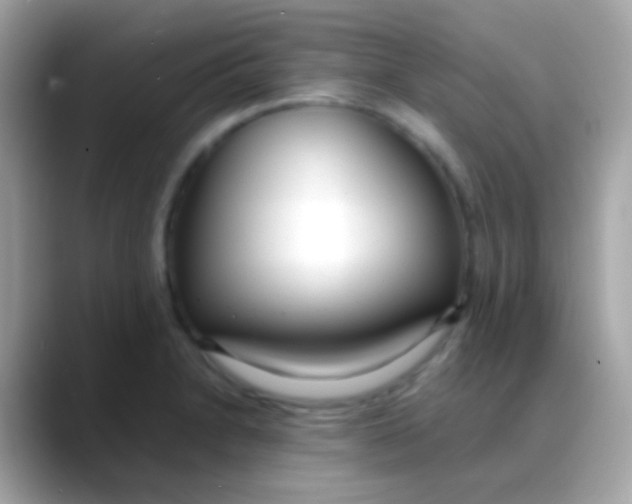 X0000088051230200706011336