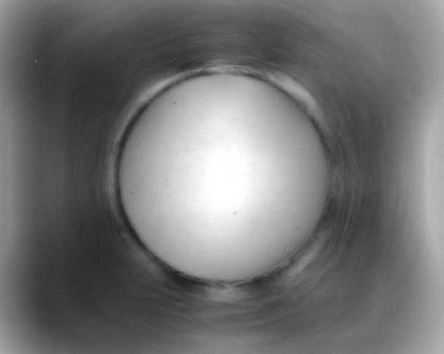 X0000088051231200706011336