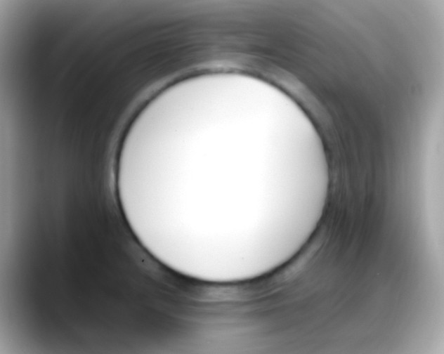 X0000088051232200706011336