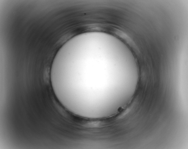 X0000088051233200706011336