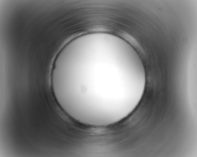 X0000088051236200706011336