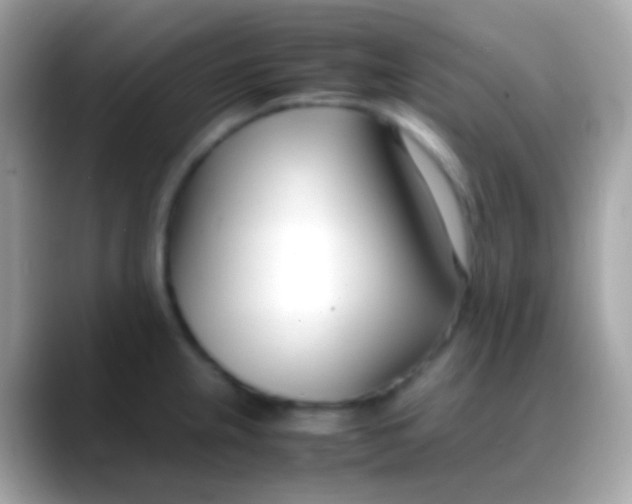 X0000088051237200706011336