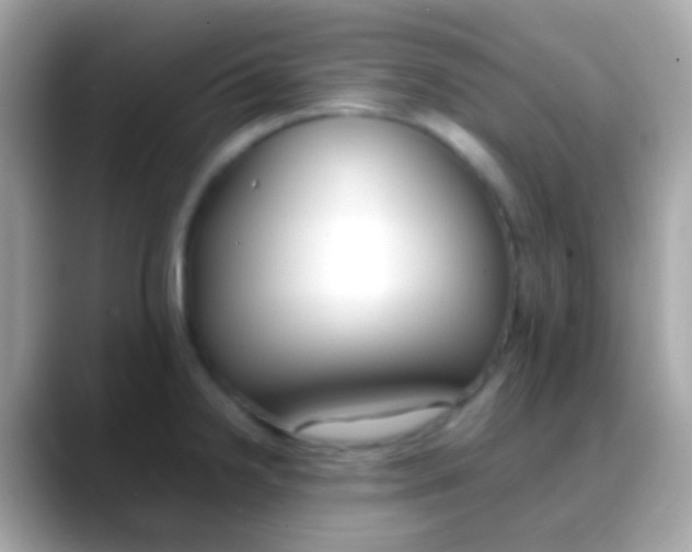 X0000088051238200706011336
