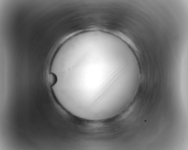 X0000088051239200706011336