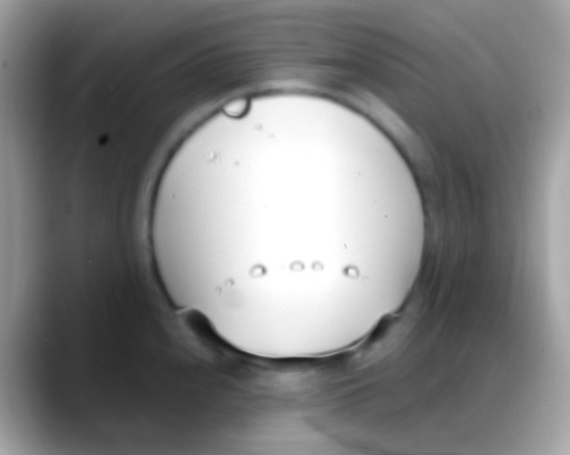 X0000088051240200706011336