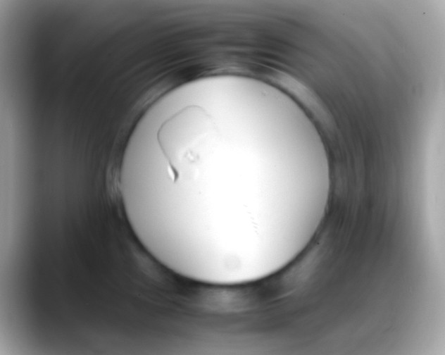 X0000088051241200706011336