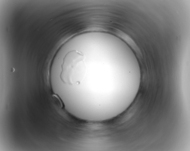 X0000088051242200706011336
