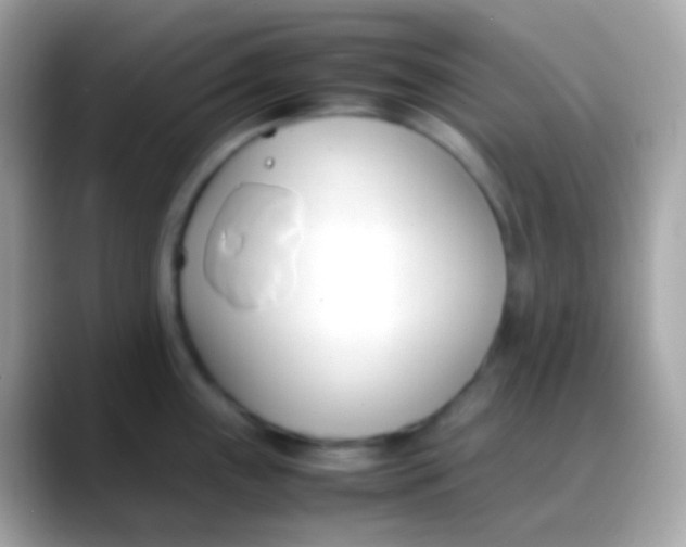 X0000088051243200706011336