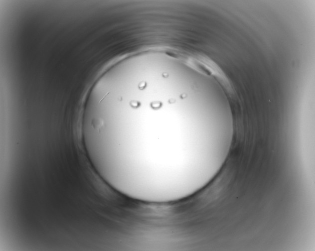 X0000088051244200706011336