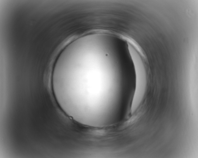X0000088051245200706011336