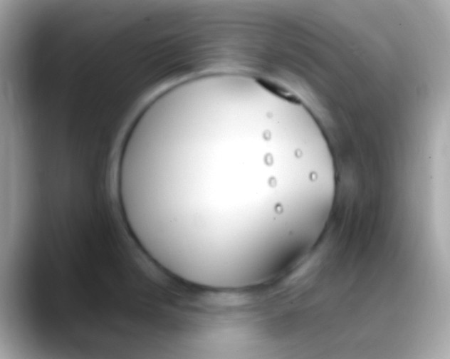 X0000088051246200706011336
