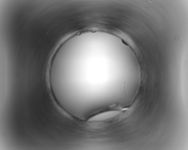 X0000088051247200706011336