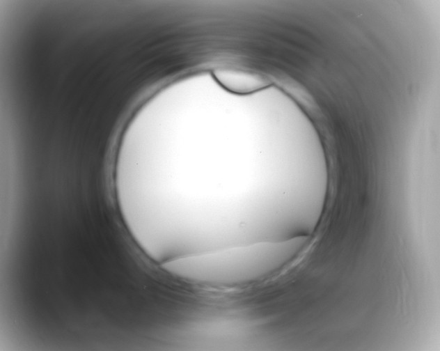 X0000088051248200706011336