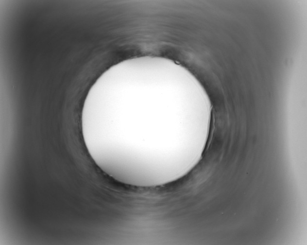 X0000088051249200706011336