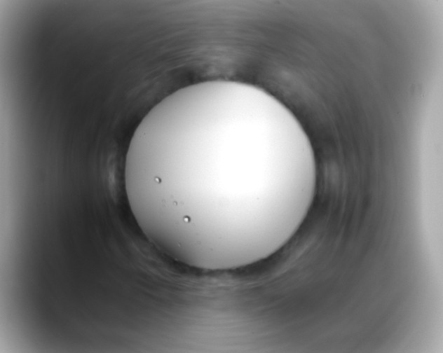 X0000088051250200706011336