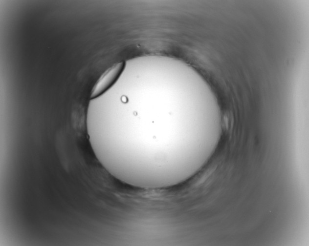 X0000088051251200706011336
