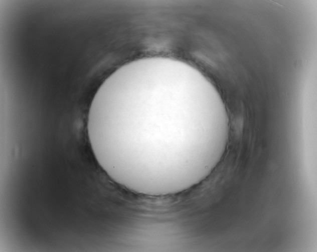 X0000088051254200706011336