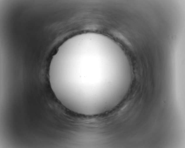X0000088051256200706011336
