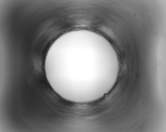 X0000088051258200706011336