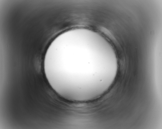 X0000088051260200706011336