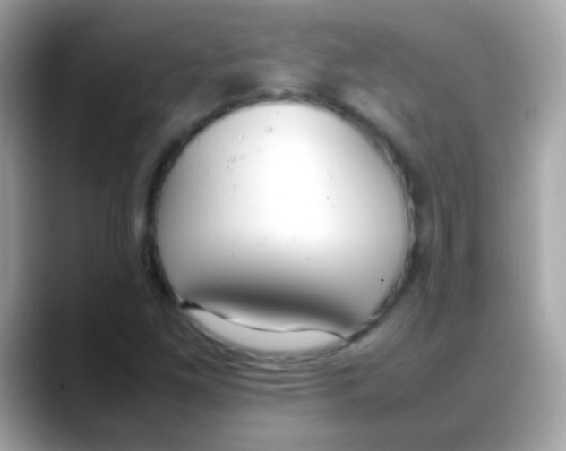 X0000088051261200706011336