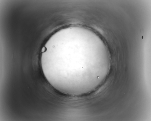 X0000088051263200706011336