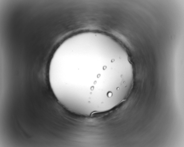 X0000088051264200706011336