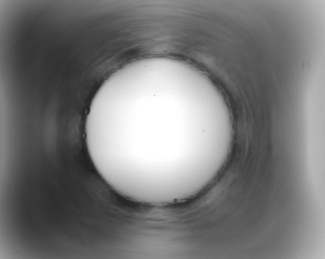 X0000088051265200706011336