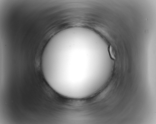 X0000088051273200706011336