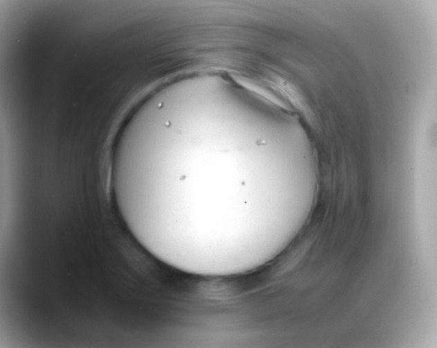 X0000088051275200706011336