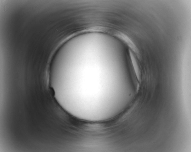 X0000088051276200706011336