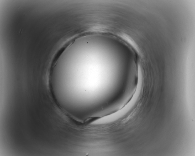 X0000088051277200706011335