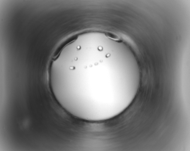 X0000088051280200706011335