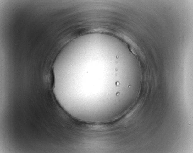 X0000088051281200706011335