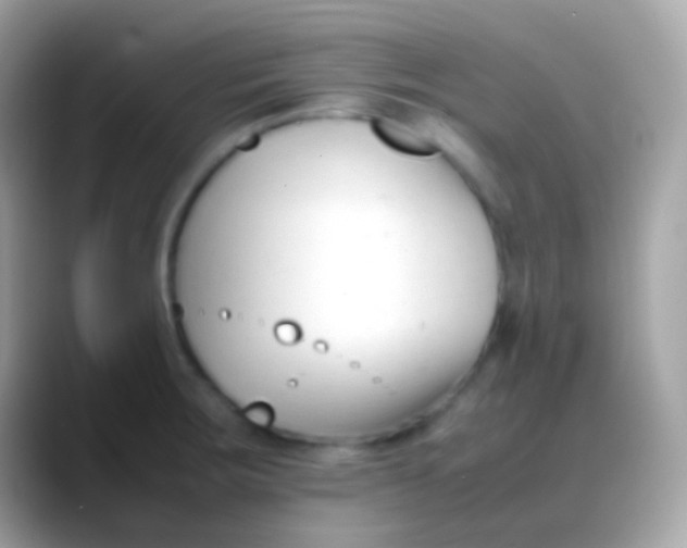 X0000088051283200706011335