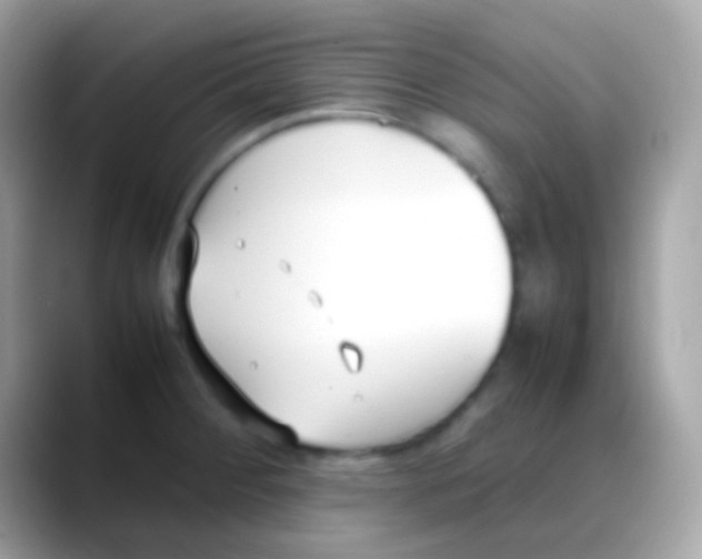 X0000088051284200706011335