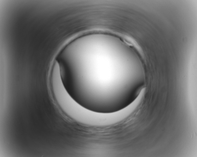 X0000088051287200706011335