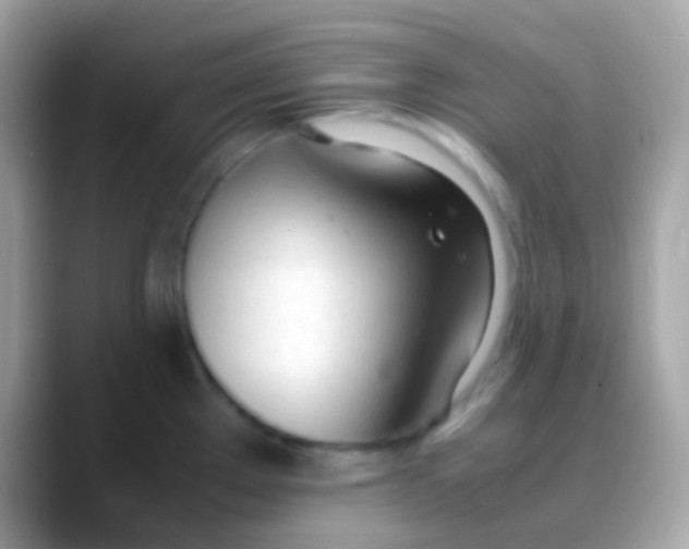 X0000088051289200706011335