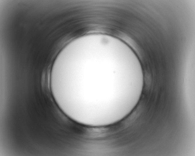 X0000088051290200706011335