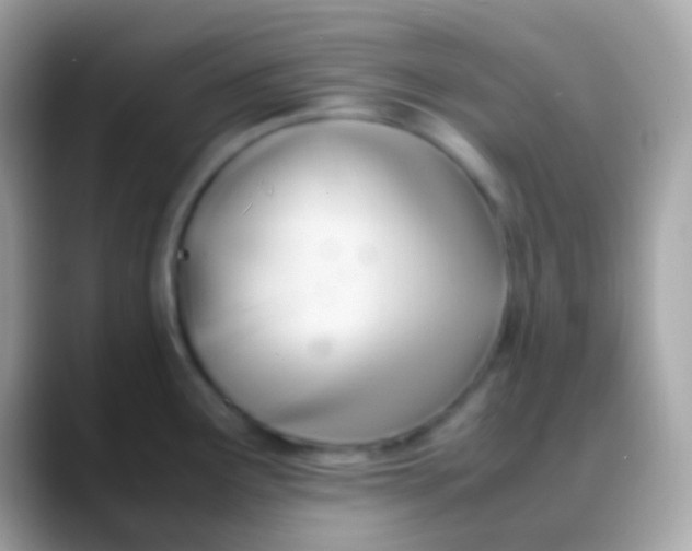 X0000088051291200706011335