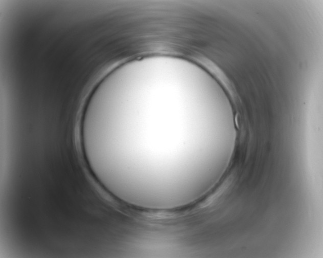 X0000088051293200706011335