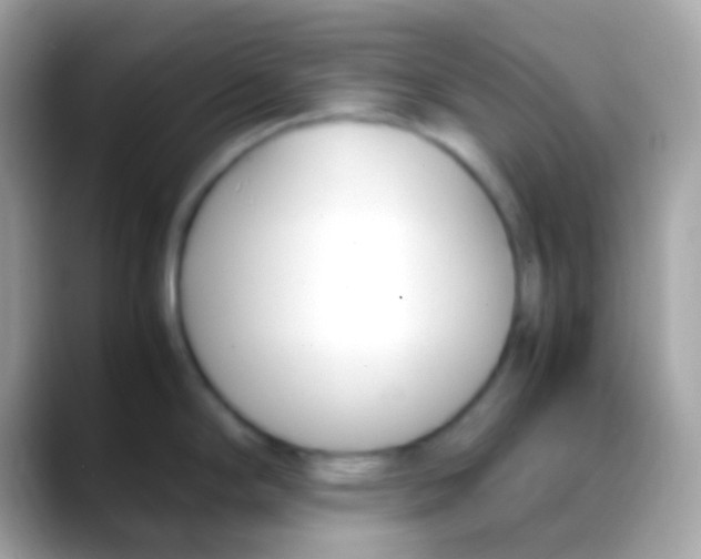 X0000088051294200706011335
