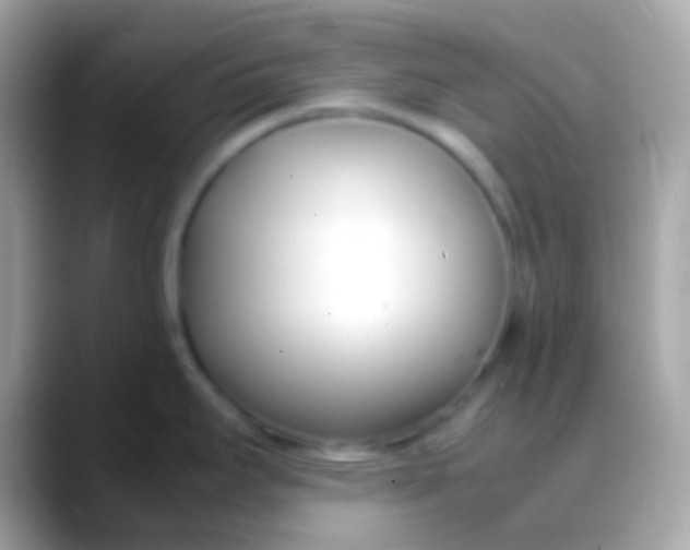 X0000088051295200706011335