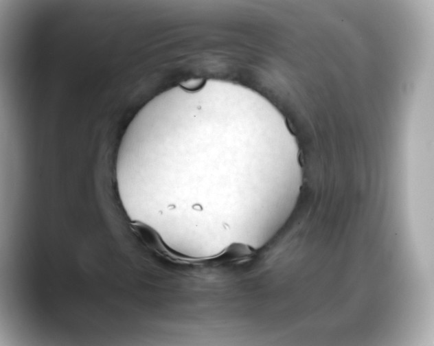 X0000088051297200706011335