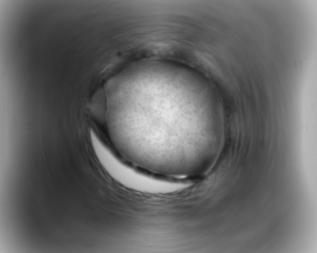 X0000088051298200706011335